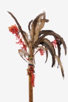 儀式竹棒藏品圖，第3張