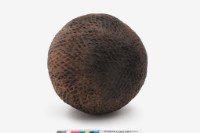 陶罐藏品圖，第6張