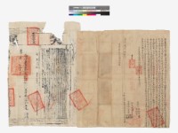  社盡絕賣田根底契藏品圖，第1張