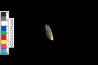 切割石材藏品圖，第4張