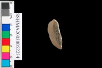 切割石材藏品圖，第5張