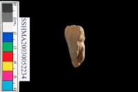 切割石材藏品圖，第6張