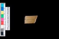 扁平體石環藏品圖，第3張