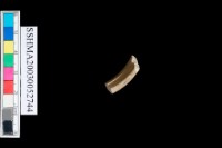 扁平體石環藏品圖，第4張