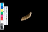 扁平體石環藏品圖，第4張