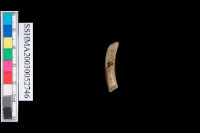 圓體石環藏品圖，第3張