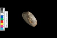 大型扁平有段石鑿藏品圖，第5張