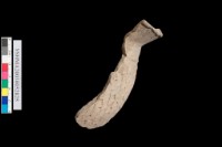 口緣.網格紋藏品圖，第2張