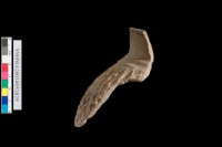 口緣.網格紋藏品圖，第4張