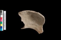 口緣.網格紋藏品圖，第6張