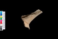 粗砂陶.頸藏品圖，第3張