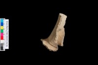 粗砂陶.頸藏品圖，第5張