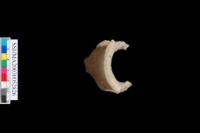 粗砂陶.頸藏品圖，第6張