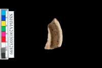 腹片                                         棄藏品圖，第6張