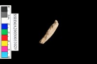 細砂陶A.口或圈足藏品圖，第2張