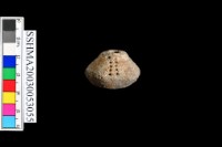 陶把藏品圖，第1張