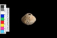 陶把藏品圖，第2張