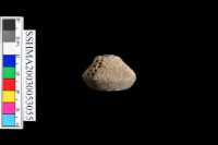 陶把藏品圖，第3張