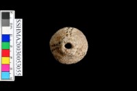 陶把藏品圖，第5張