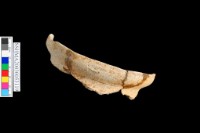 細砂陶藏品圖，第1張