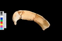 細砂陶藏品圖，第3張