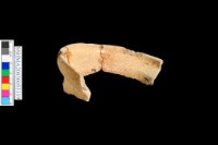 細砂陶藏品圖，第4張