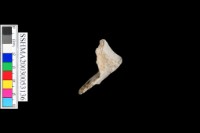 光面灰陶 凹底藏品圖，第2張