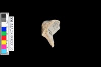 光面灰陶 凹底藏品圖，第4張