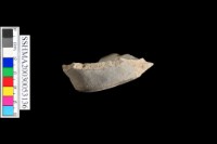 光面灰陶 凹底藏品圖，第5張