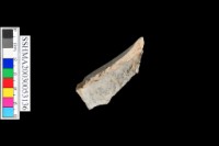 光面灰陶 凹底藏品圖，第6張