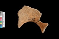 粗砂陶.口緣藏品圖，第6張