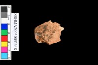 泥質陶.腹片(素紋)藏品圖，第1張