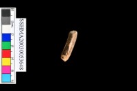 泥質陶.腹片(素紋)藏品圖，第2張