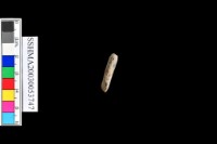 細砂陶.腹片藏品圖，第8張