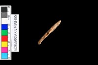 細砂陶.腹片為主藏品圖，第8張