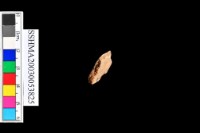 細砂陶.腹片為主藏品圖，第12張