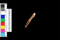 細砂陶.腹片為主藏品圖，第14張