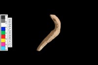 細砂陶.口緣.有花紋藏品圖，第4張