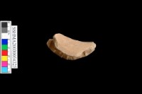 細砂陶.口緣.有花紋藏品圖，第5張