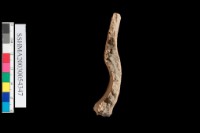 方格紋 . 口緣                   棄55g藏品圖，第2張