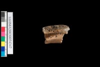 方格紋 . 口緣                   棄55g藏品圖，第6張