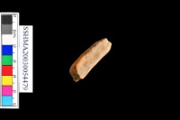 細砂陶.腹片.頸(方格紋)藏品圖，第5張