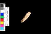 細砂陶.腹片.頸(方格紋)藏品圖，第9張