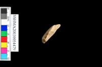 細砂陶.腹片.頸(方格紋)藏品圖，第11張