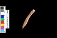 細砂陶.腹片.頸(方格紋)藏品圖，第20張