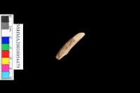 細砂陶.腹片.頸(方格紋)藏品圖，第26張