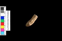 細砂陶.腹片.頸(方格紋)藏品圖，第31張