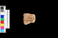 細砂陶.腹片.頸(方格紋)藏品圖，第35張