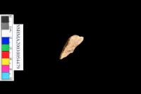 細砂陶.腹片.頸(方格紋)藏品圖，第36張