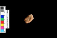 細砂陶.腹片.頸(方格紋)藏品圖，第44張